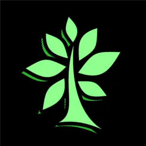 Prosperity Services color icon